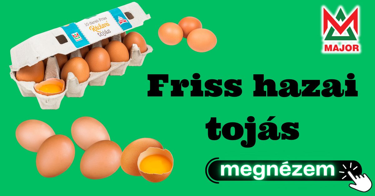 Nyitólap fejléckép